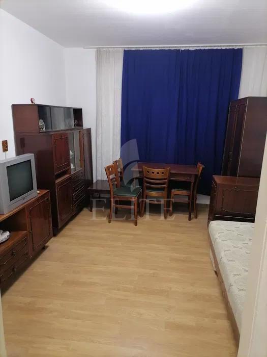 Apartament o camera în zona PIATA MIHAI VITEAZUL-1001131