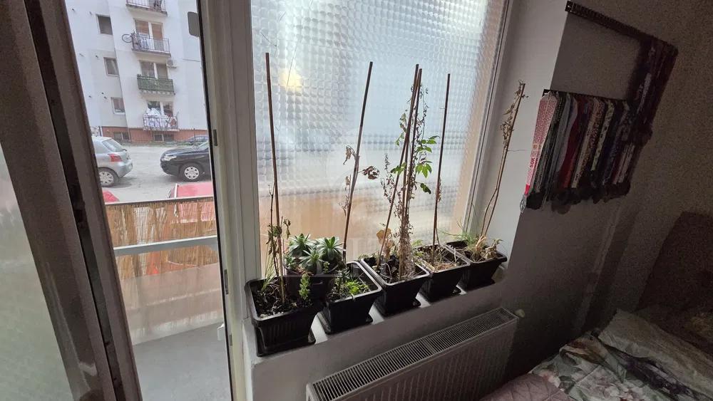 Apartament o camera în zona INTRE LACURI-1209834