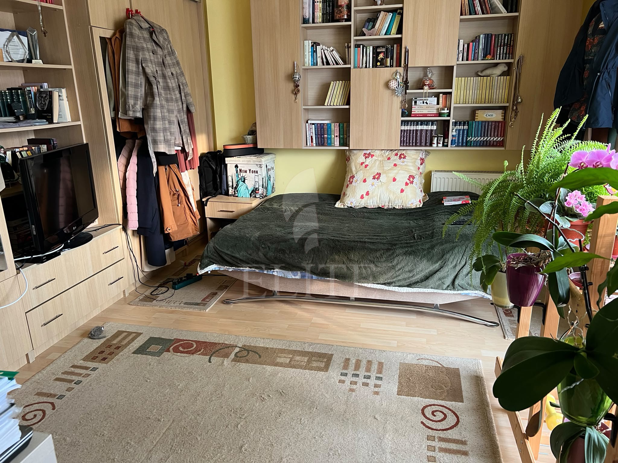 Apartament o camera în zona FSGA - Iulius Mall-1255486