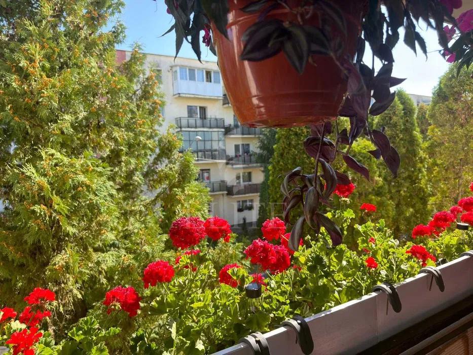 Apartament 4 camere în zona OLIMPIA-1265502