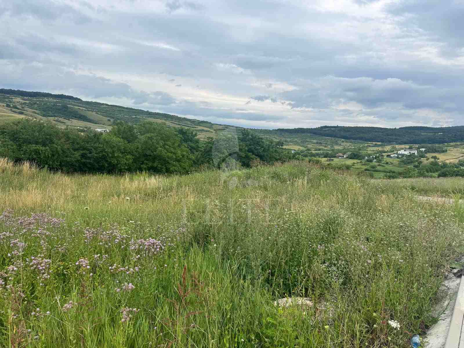 Teren în zona HUB EDUCATIONAL BORHANCI-1275309